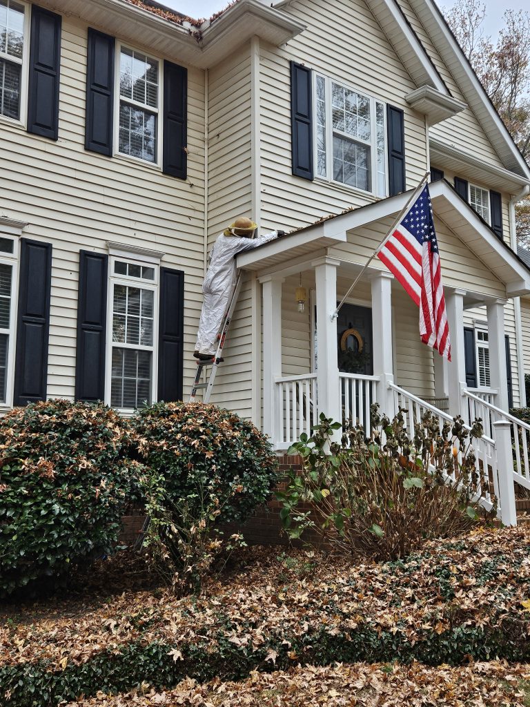 Wasp Nest Removal by Dead on Arrival Pest Control Experts