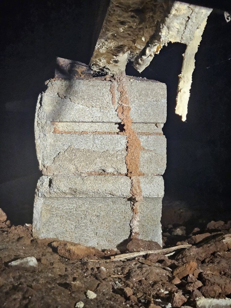 Severe Termite Damage Found in Crawl Space Inspection