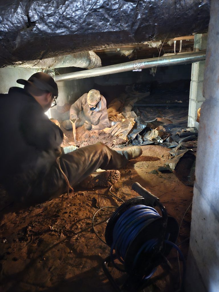 Crawl Space Cleanup and Pest Control by Dead on Arrival Experts