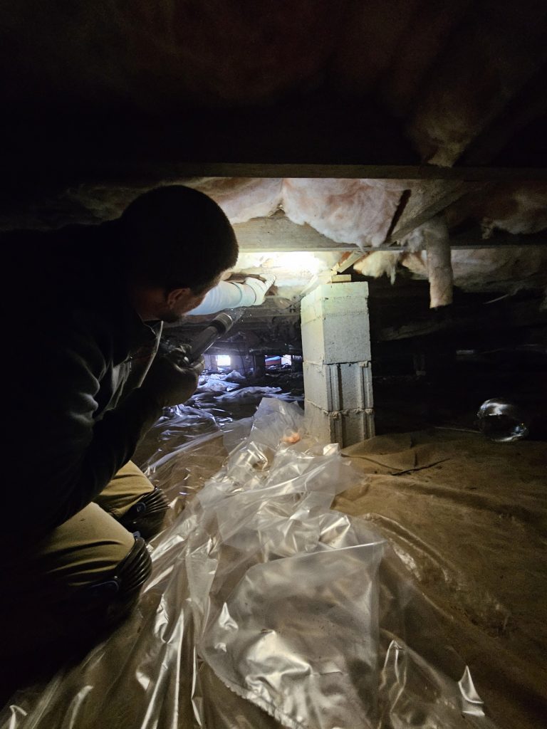 technician inspecting a crawl space for pest infestations using a flashlight