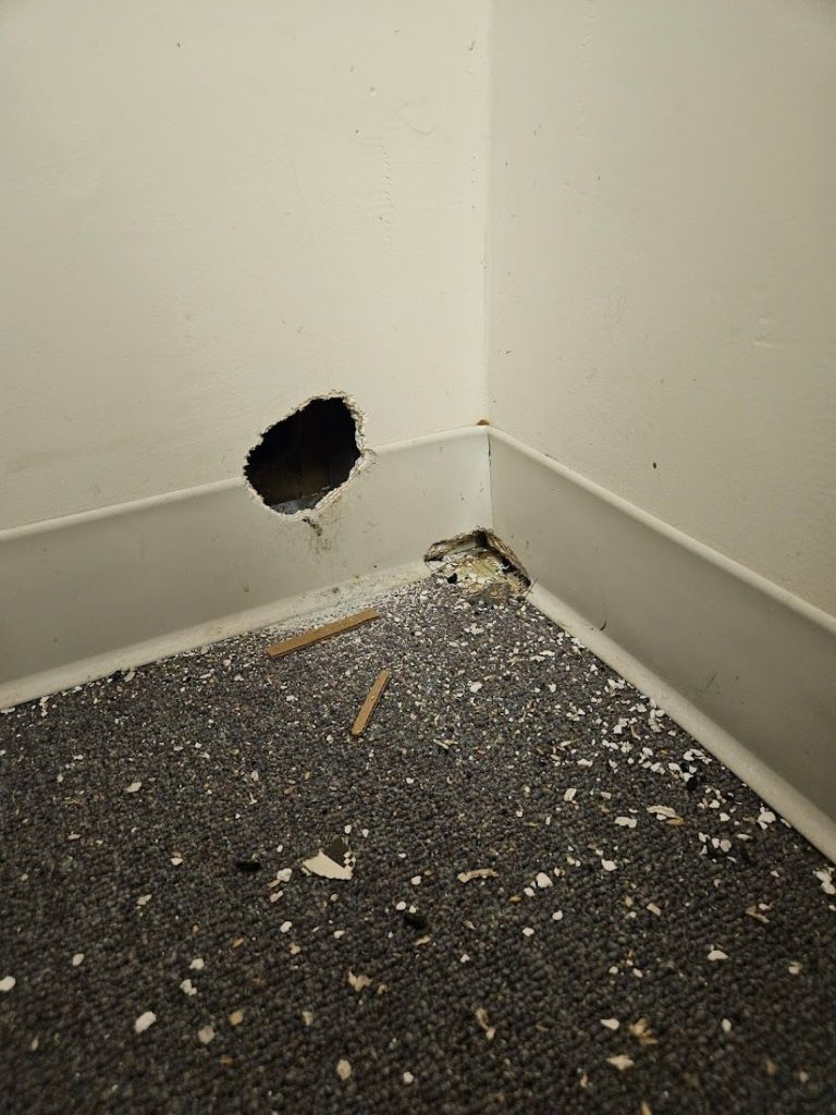 Wall Damage Indicating Pest Activity - Dead on Arrival Solutions